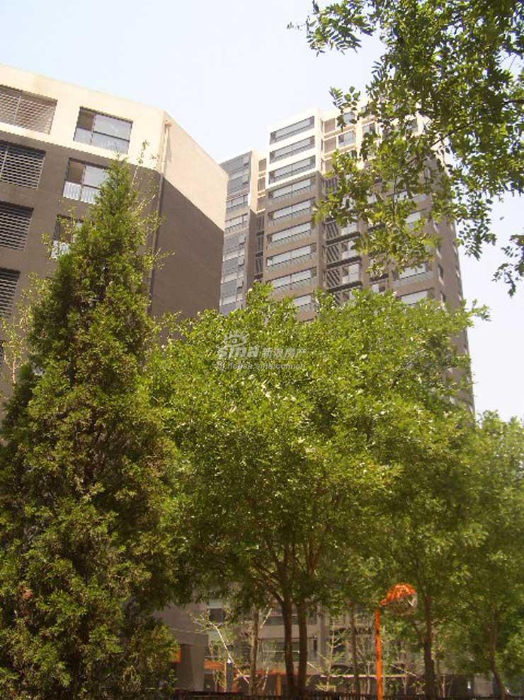 万泽·御河湾 实景图 楼体外观