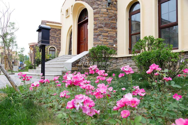 天恒别墅山 实景图 鲜花簇拥