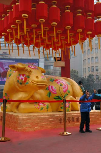 中华第一商业街南京路步行街 牛气冲天迎新春
