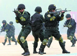 雪豹突击队装备cq步枪图片