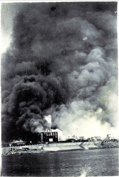 火烧南洋楼事件图片