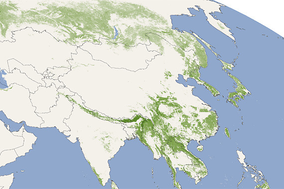 亚洲地区森林地图