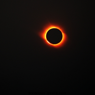 争抢"黑日"商机 20对新人见证日月同辉(图)