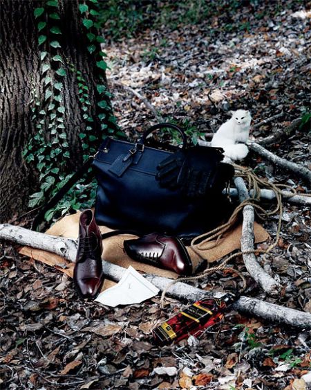 血腥而高贵的猎狐运动