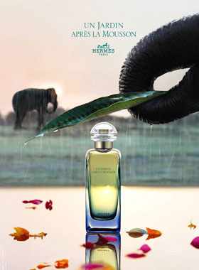 6款大牌夏日迷情香让你爱上自己的味道组图2