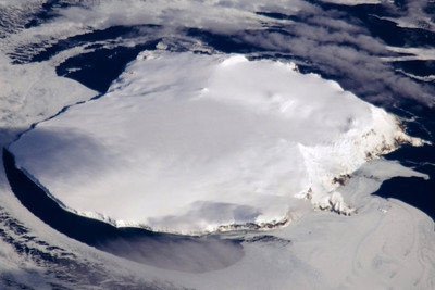 南极熊岛图片
