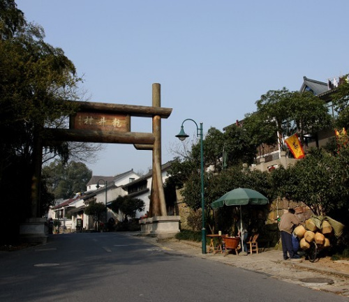 难忘那一抹清新 清明探访西湖龙井村