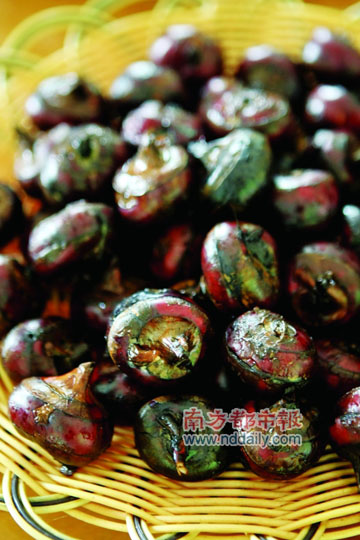 乐昌马蹄 乐昌马蹄