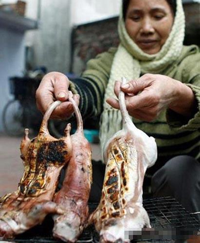 越南人爱吃老鼠肉极品每斤可卖两美元
