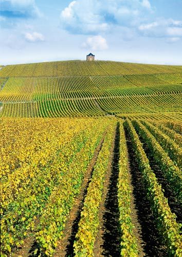 香槟- 阿登地区