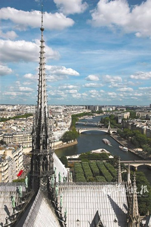 巴黎圣母院俯视图图片