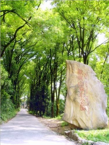 歌乐山森林公园