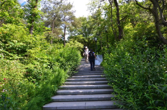 夏游宝界山林公园一览锡城美景