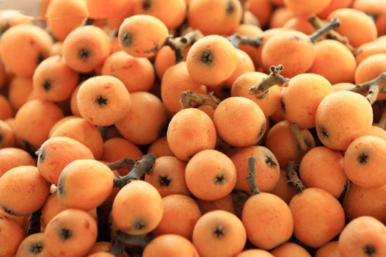 "红毛丫头"今年是枇杷的大年,不但品质比往年要好,而且价格也相对实惠