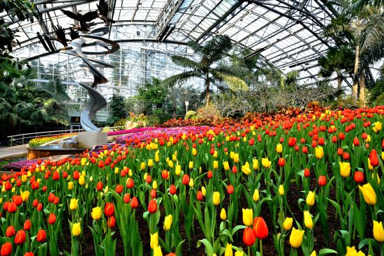 南山植物園 溫室展廳