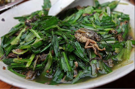 【龙胜 麻辣小蝌蚪】