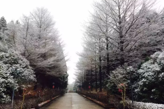 配圖冬季陪你去四明山看雪~~~配圖【新浪旅遊聲明】本文未經授權許可