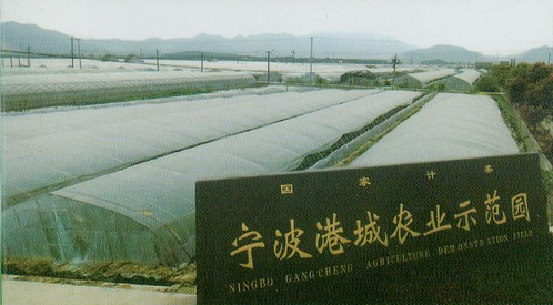 宁波周边冬草莓的采摘攻略