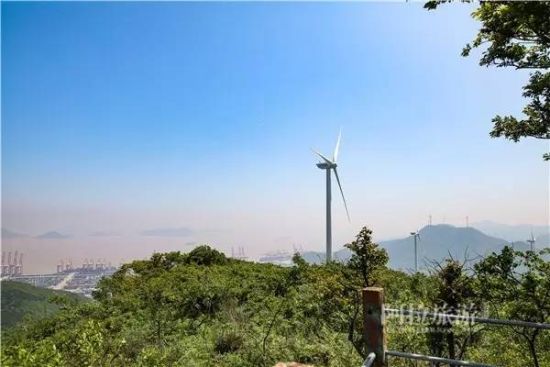 总台山森林游步道快去梅山岛吹吹海风耍一个~这天气也是热得不行了快