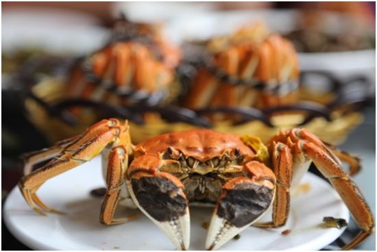 阳澄湖吃大闸蟹哪家比较好