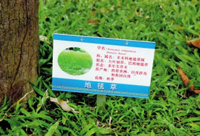 中山紀念堂植物 量身定做新