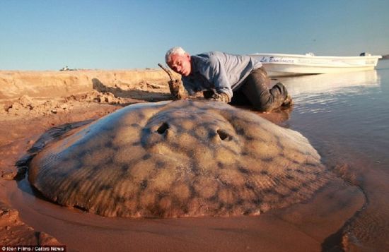 英國探險家探索世界各地發現恐怖魚類