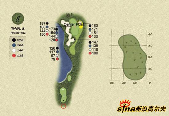 图文天津华纳高尔夫球场球道图八号洞175码