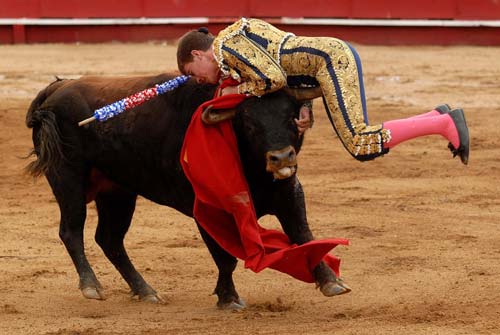 图文osports09十佳图片斗牛士被牛顶住要害部位