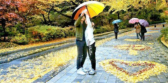 韩国情侣登山将落叶摆成心形拍照留念