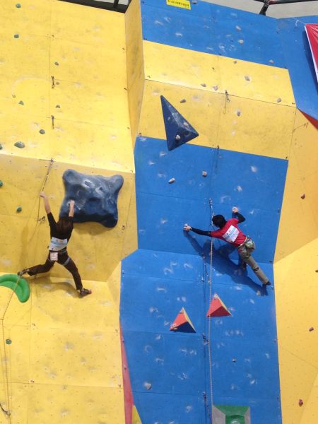 第21届全国攀岩锦标赛在北京首体举行_登山-攀岩_新浪户外_新浪体育