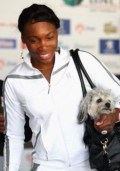 图文扬科领衔出席媒体见面会大威带着宠物狗出席