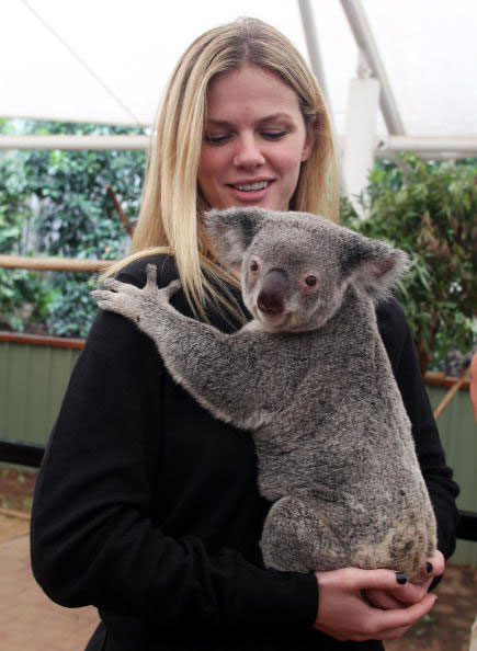 图文罗迪克携娇妻与考拉亲密接触布鲁克林抱考拉